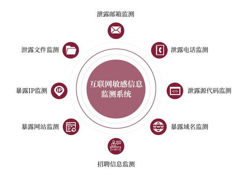 金融信息科技外包導(dǎo)致敏感信息泄露風(fēng)險(xiǎn)上升 看raysin來(lái)支招